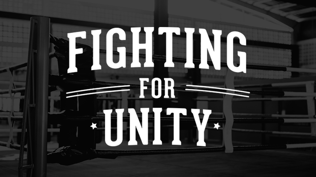 Fighting For Unity