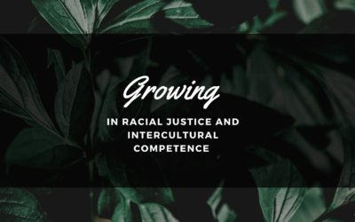 Growing in Racial Justice and Intercultural Competence
