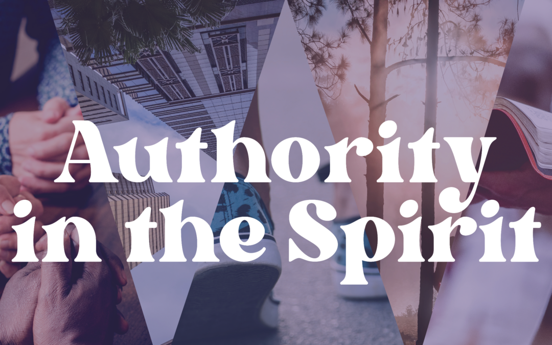 Spiritual Authority Resources